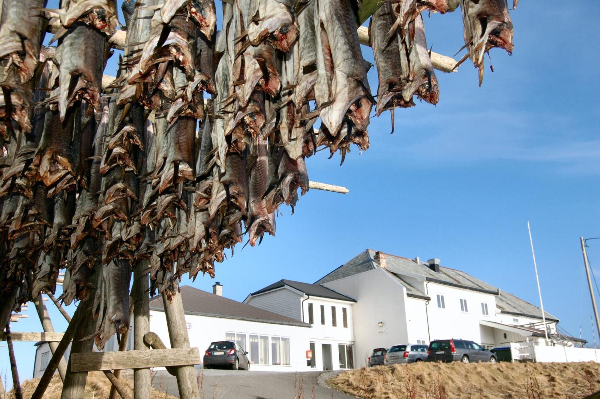 Fiskarheimen Havly, Rost Hotel Exterior foto
